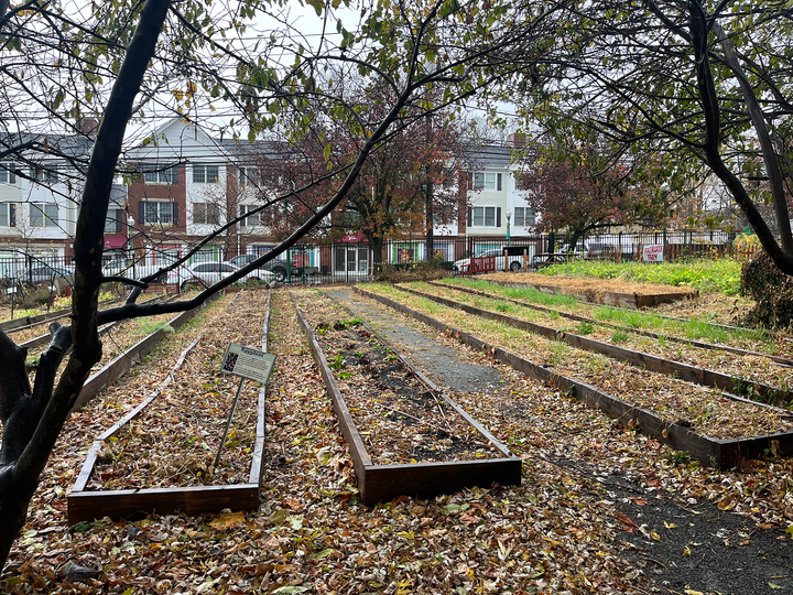 The Impact of Food Insecurity and Food Deserts in Lower Fairfield County