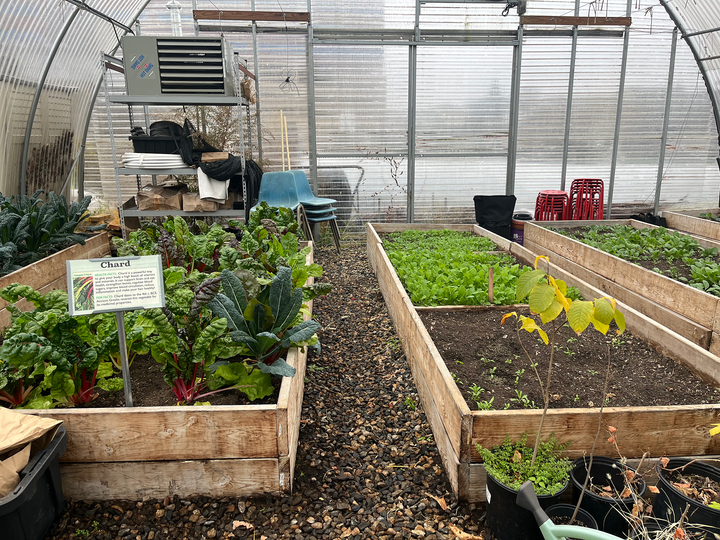 Feeding their Community: How Bridgeport, Stamford, and Norwalk Groups Are Making Food Accessible