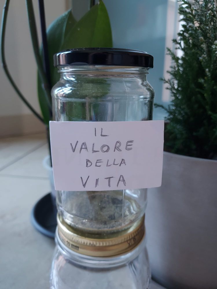 il Valore della Vita