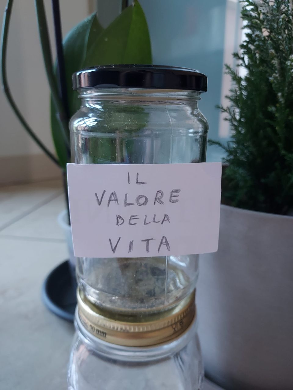 il Valore della Vita