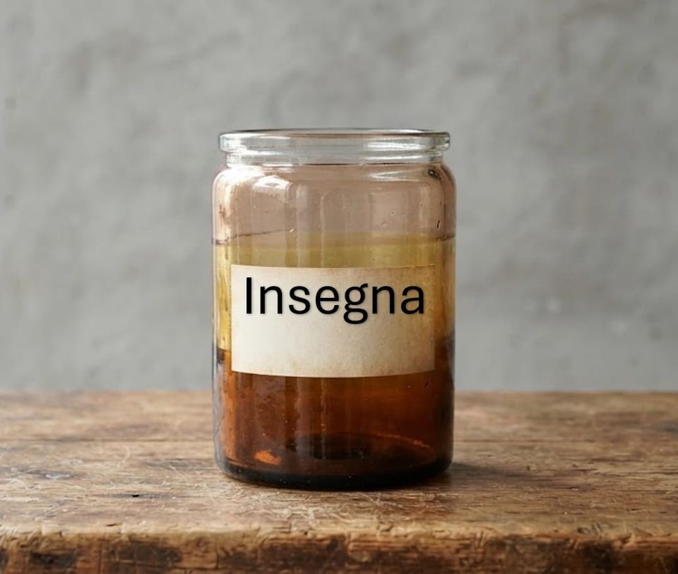 Insegna