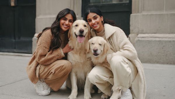 Human's best friends are DOGS 