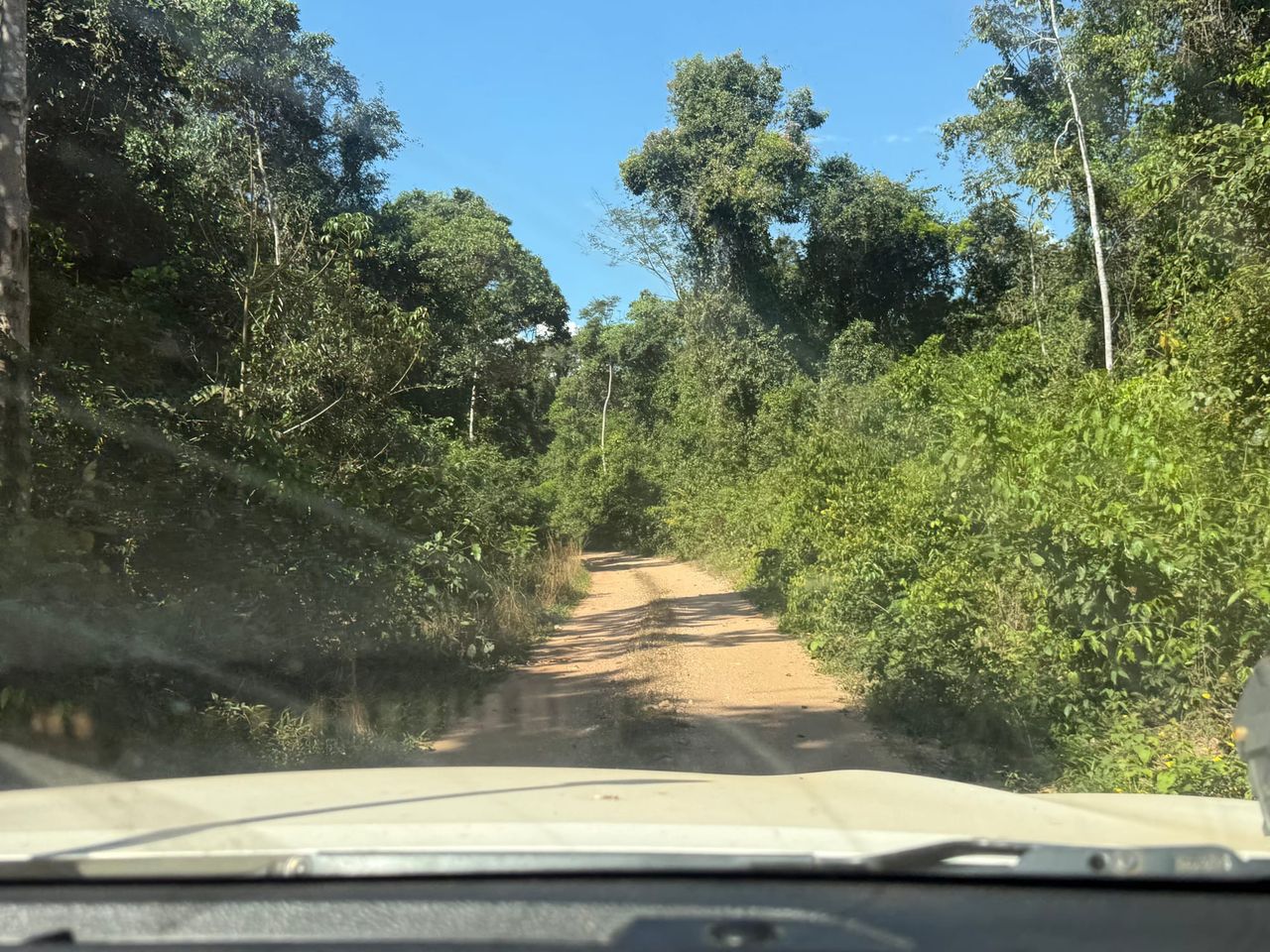 The Road to Florida