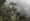 Los Yungas Cloud Forest Expedition