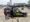 Amazon to Amazon
