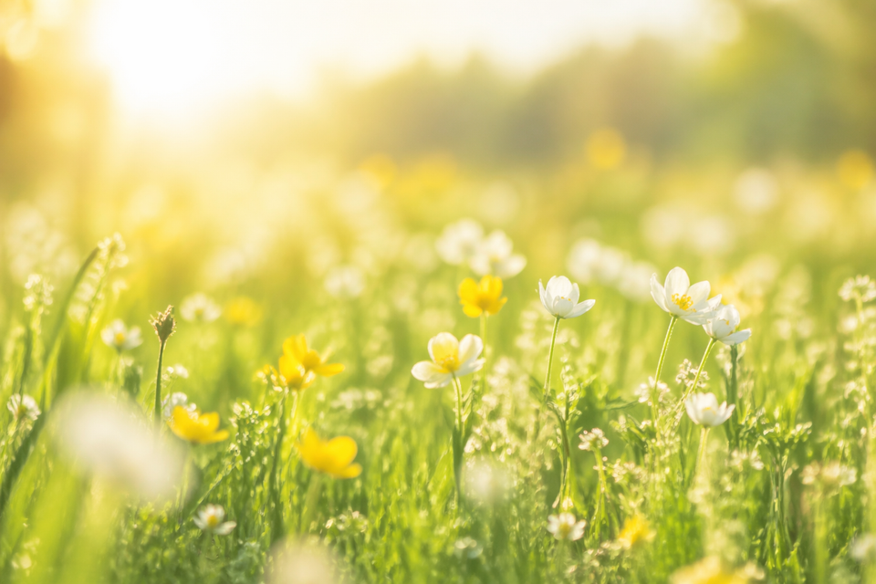 When Your Life Doesn't Get a Season Change