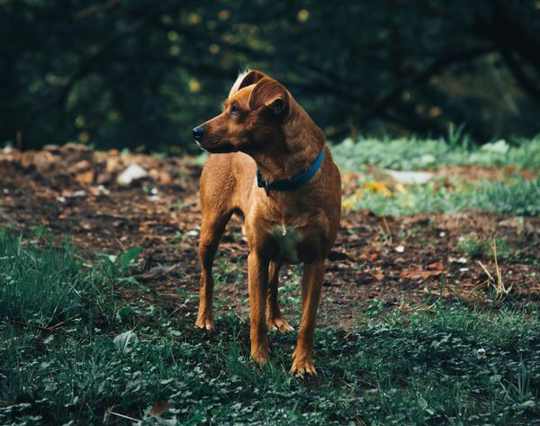 How to Pray When You Don’t Know Where to Start