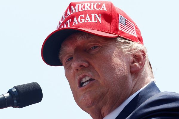 The Spell of Donald