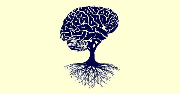 Investing with a conservative mindset