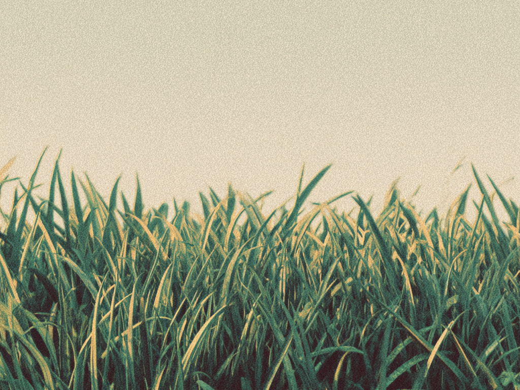 How to Remove Grass Stains from Clothes