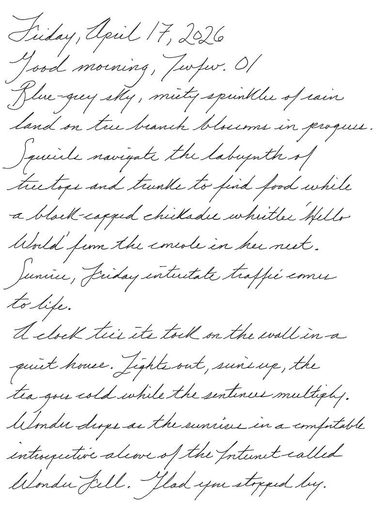 Page of a handwritten journal entry by Wynn