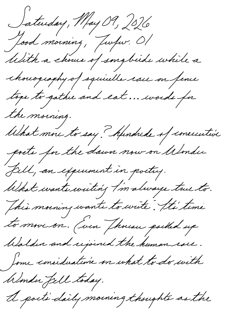 A page from a handwritten journal, by Wynn.