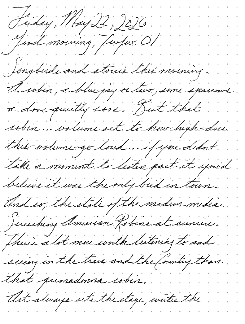 A page from a handwritten journal, by Wynn