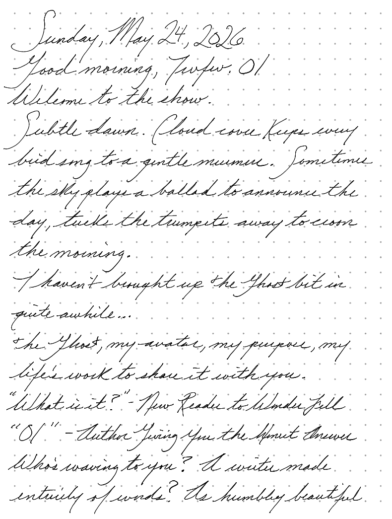 A page from a handwritten journal, by Wynn
