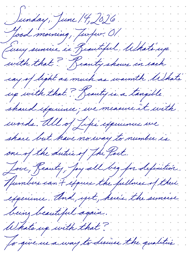 A page from a handwritten journal, by Wynn