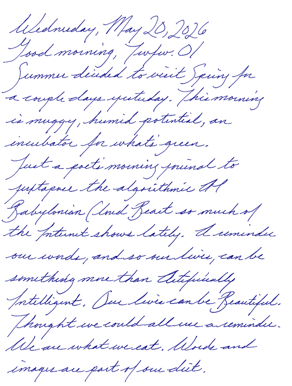 A page from a handwritten journal, by Wynn 