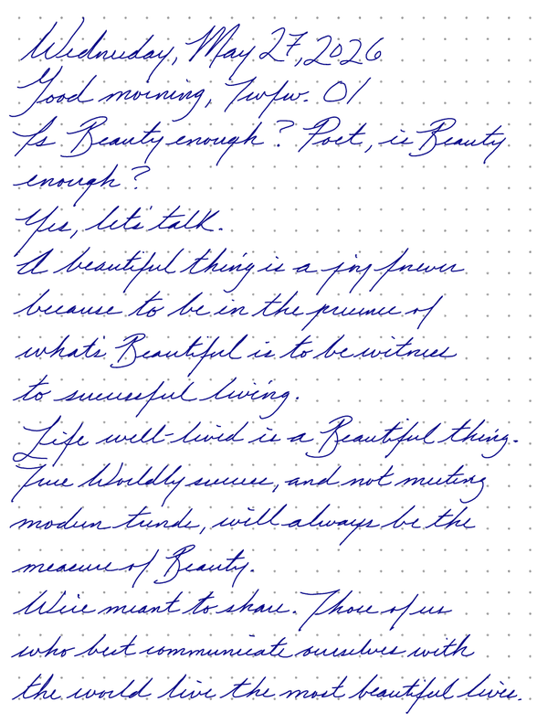 A page from a handwritten journal, by Wynn