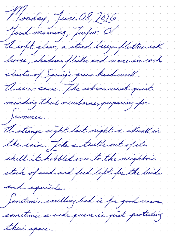 A page from a handwritten journal, by Wynn