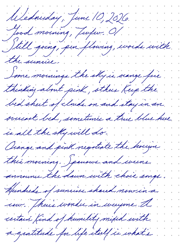 A page from a handwritten journal, by Wynn