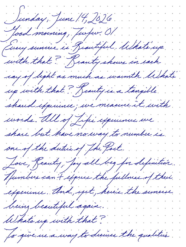A page from a handwritten journal, by Wynn