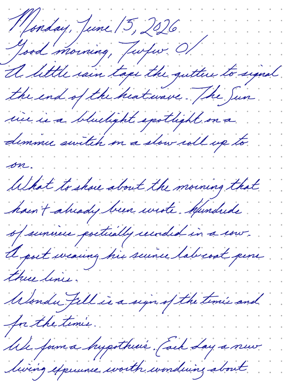 A page from a handwritten journal, by Wynn