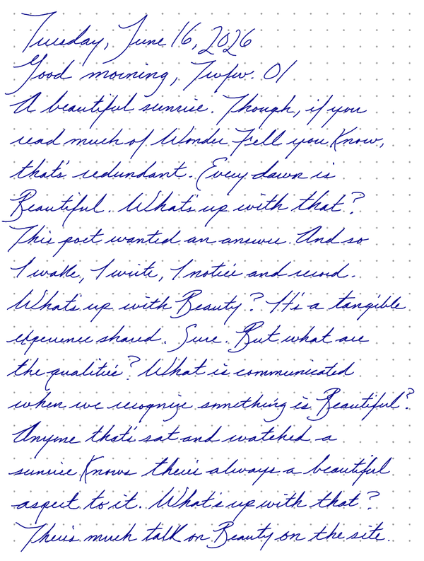 A page from a handwritten journal, by Wynn