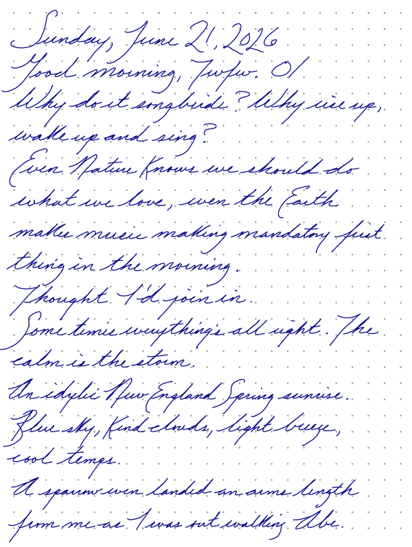 A page from a handwritten journal, by Wynn