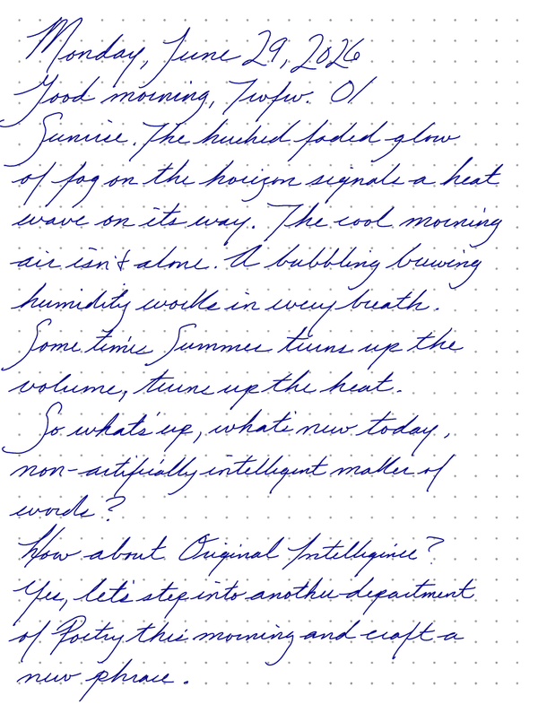 A page from a handwritten journal, by Wynn