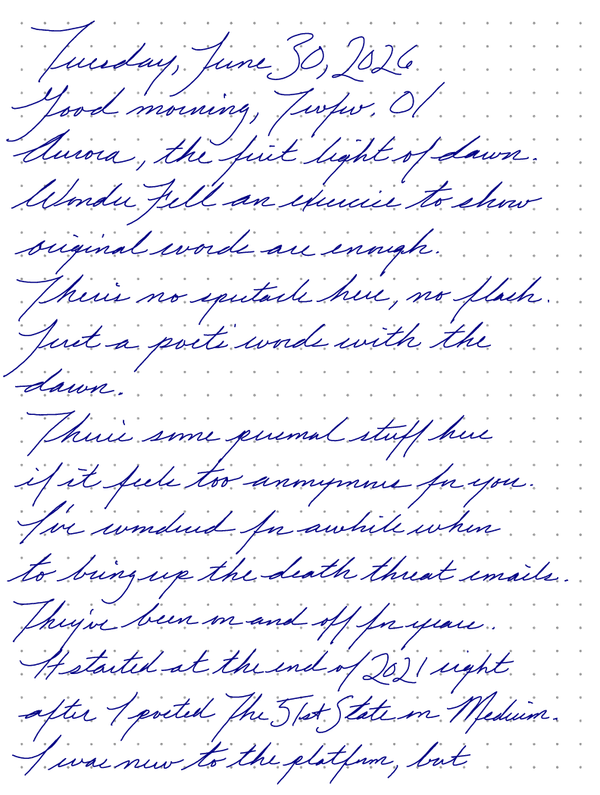 A page from a handwritten journal, by Wynn