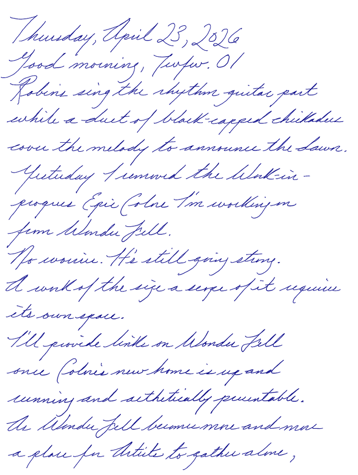 Page of a handwritten journal entry by Wynn