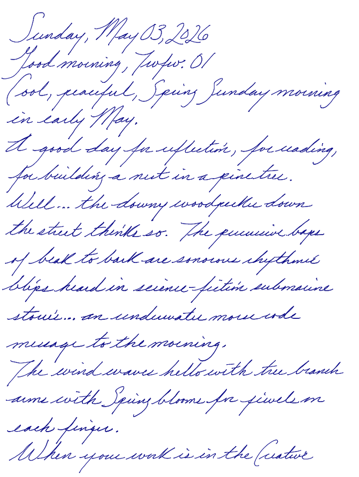 A page from a handwritten journal, by Wynn 