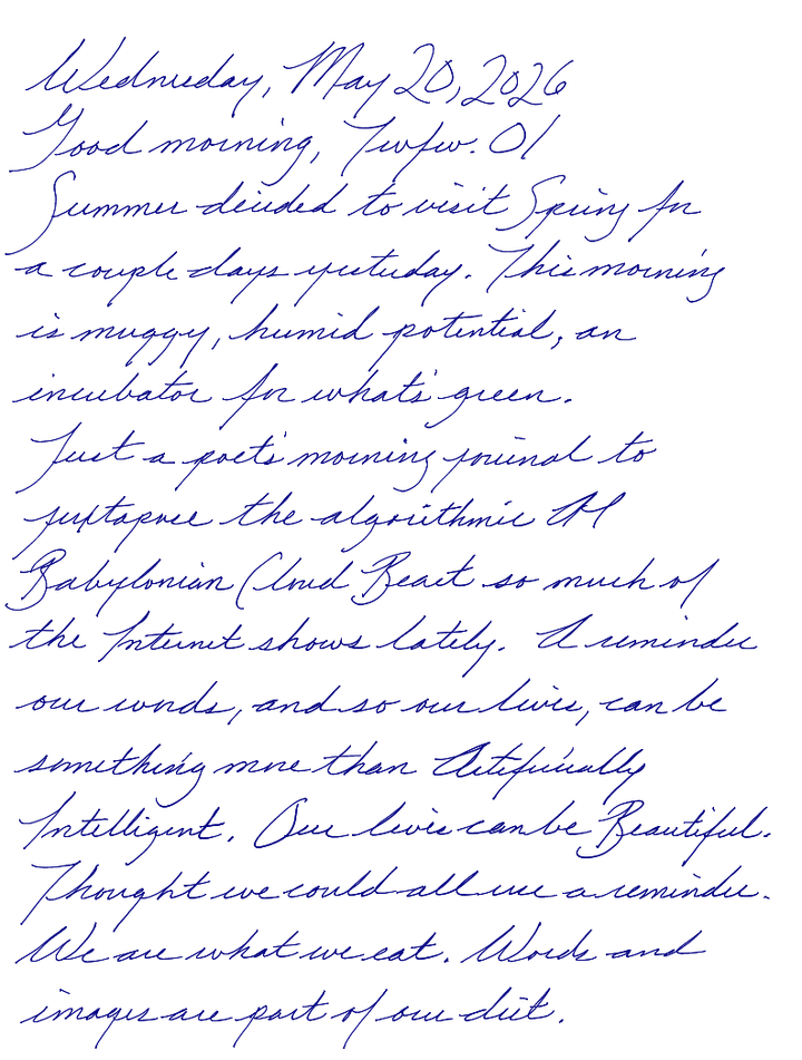 A page from a handwritten journal, by Wynn 