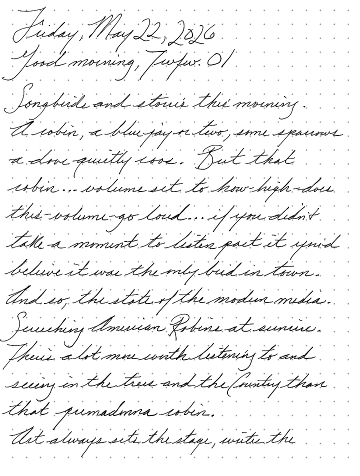 A page from a handwritten journal, by Wynn