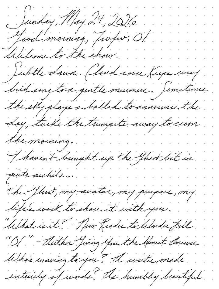 A page from a handwritten journal, by Wynn