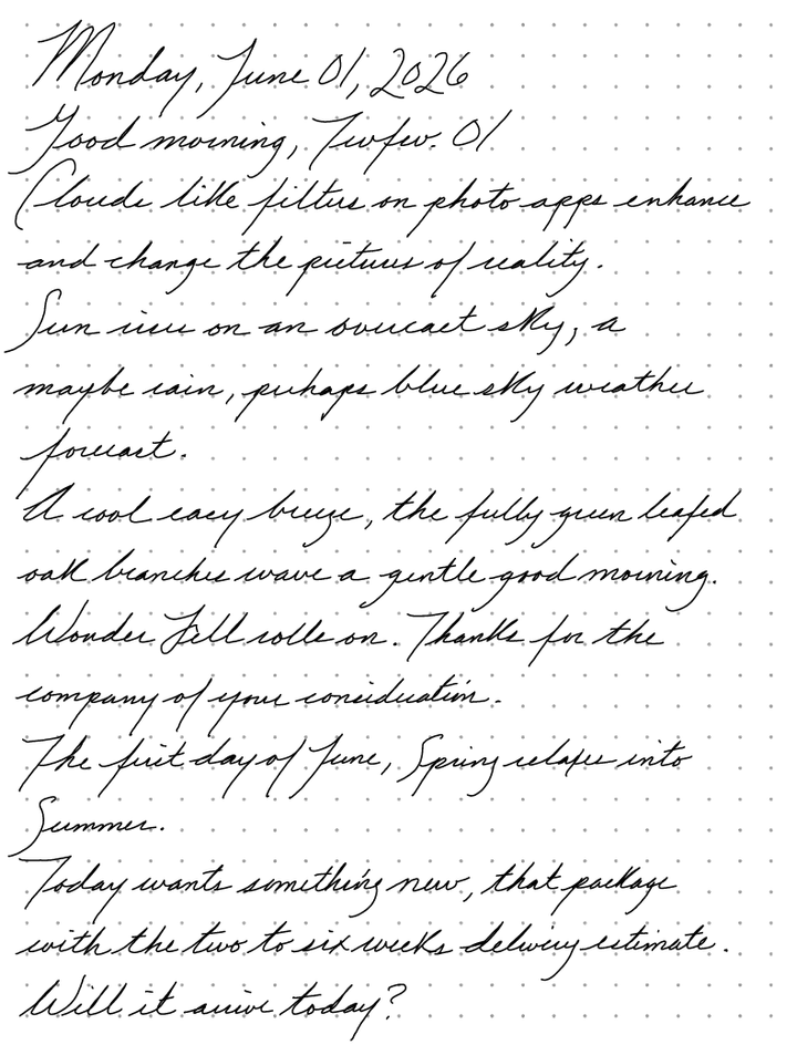 A page from a handwritten journal, by Wynn.