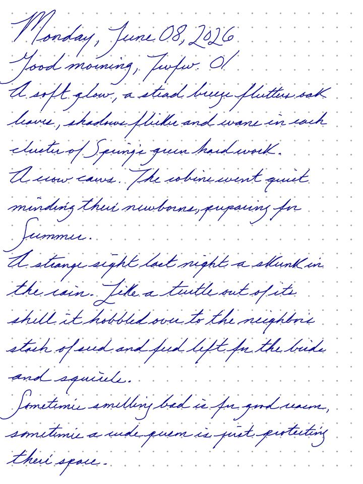 A page from a handwritten journal, by Wynn