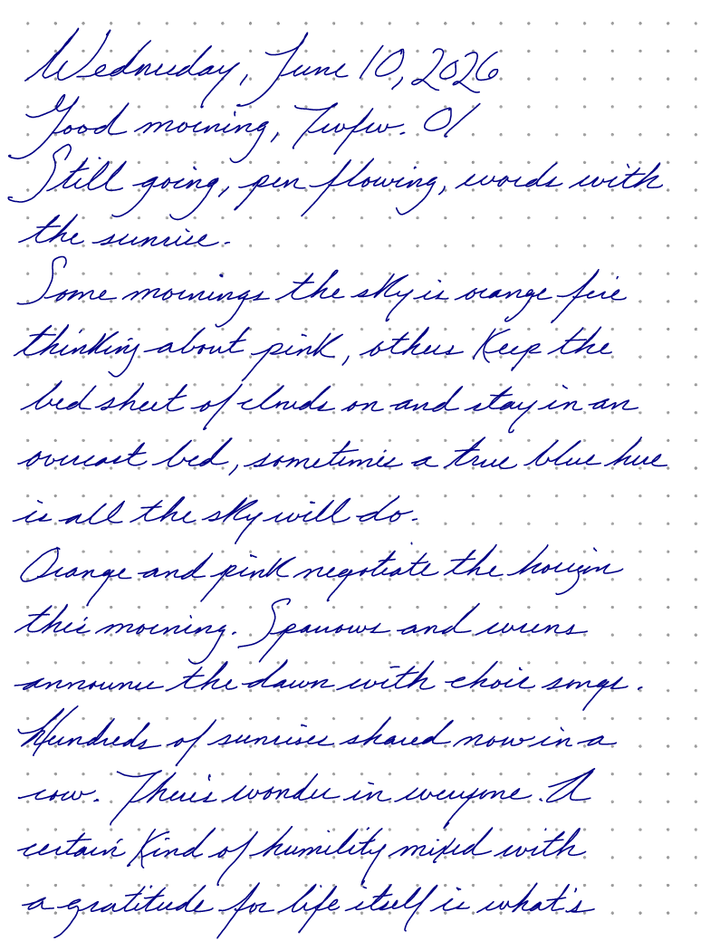A page from a handwritten journal, by Wynn
