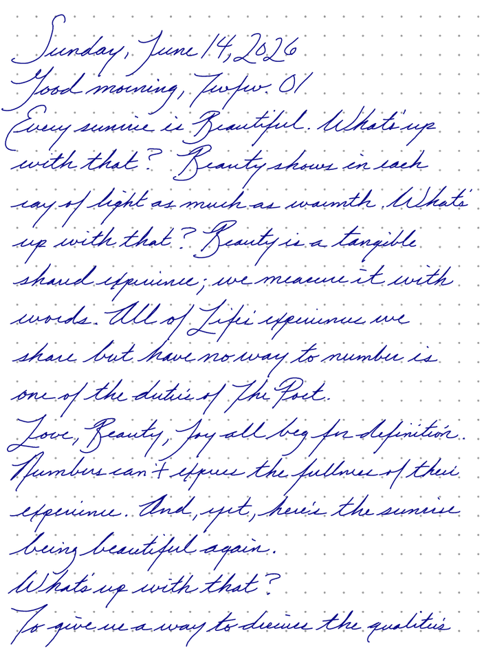 A page from a handwritten journal, by Wynn