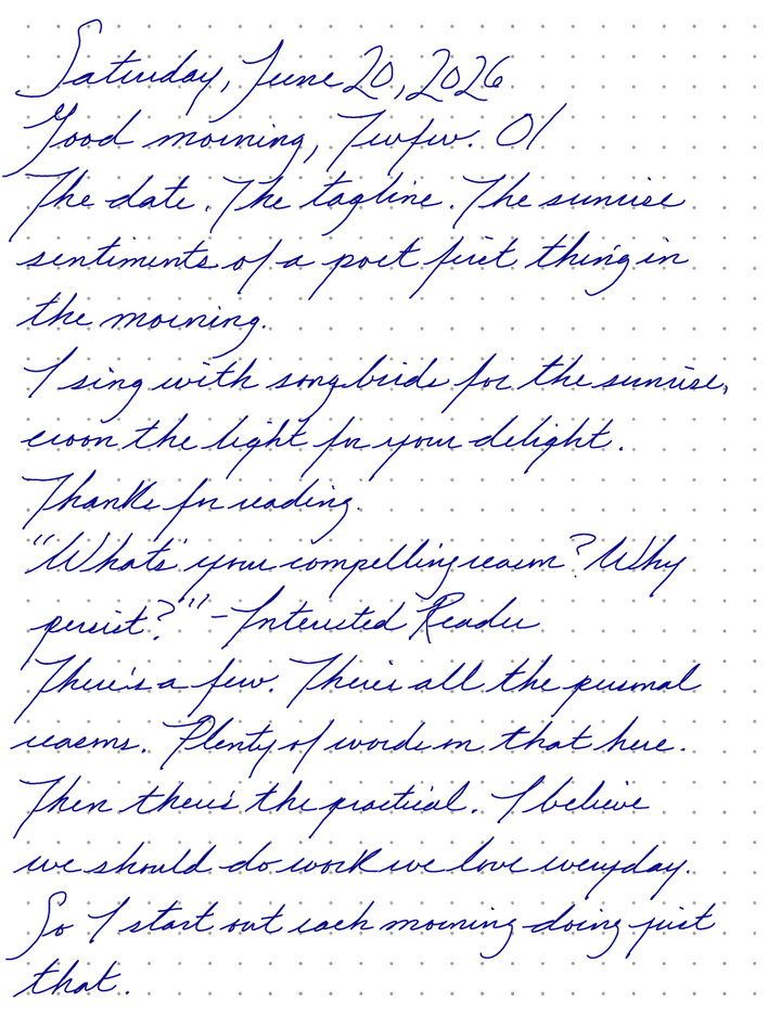 A page from a handwritten journal, by Wynn