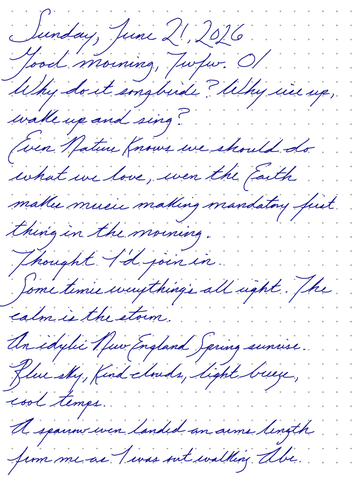 A page from a handwritten journal, by Wynn
