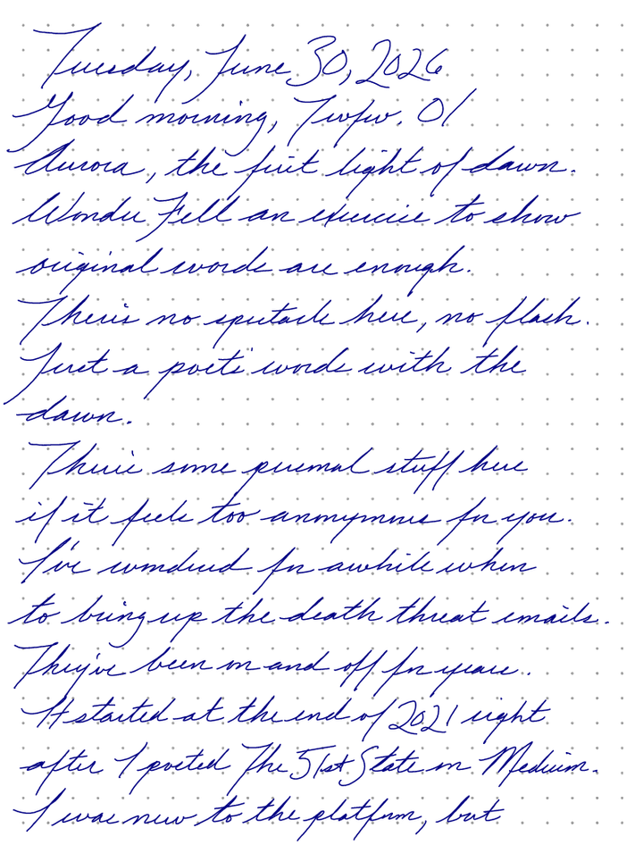 A page from a handwritten journal, by Wynn