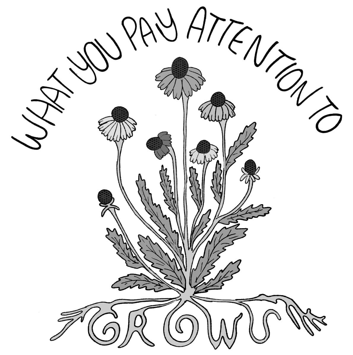 FINAL_What You Pay Attention to Grows.jpg