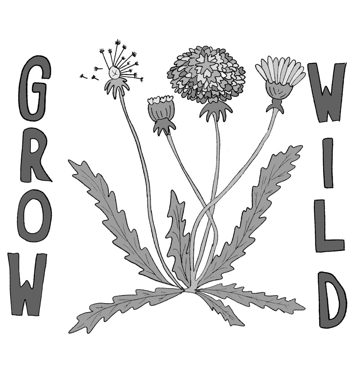 4FINAL_Grow Wild.jpg