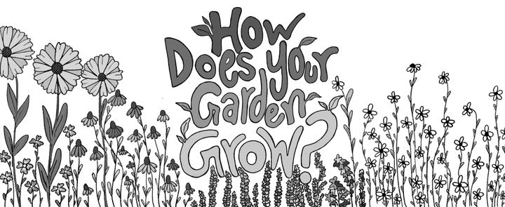 Chapter 4_ Gardeners’ Almanac: How to Plant Daisies