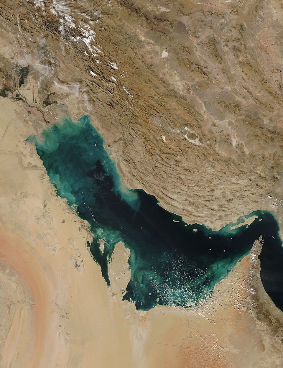 Unexpected consequences of the Gulf War: The Persians destroyed the Gulf monarchies' climate control systems.