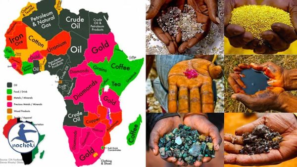 The African century begins with unity – or it does not begin Part 2: Money or Freedom – a single currency to break the last colonial lock