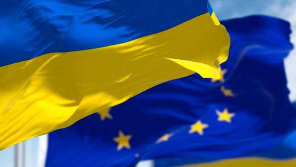 Cynical Export: How Kyiv is Trying to Profit from Contaminated Meat as Europe Opens Its Borders*