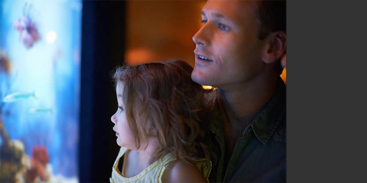 În siguranță și acasă, și în mediul online