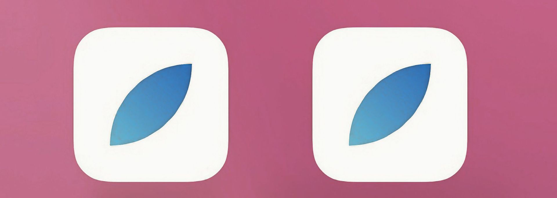 Mona for Mastodon and Aurora Reader app icons