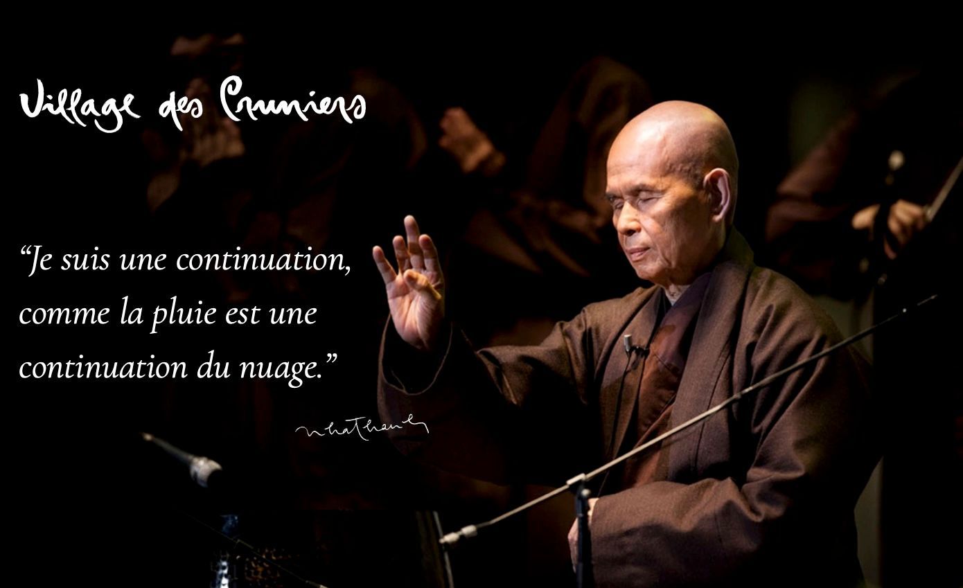 Photo et citation de Thich Nhat Hanh (1926-2022)